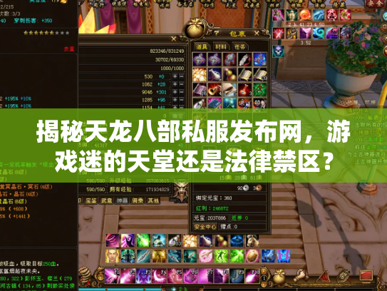 揭秘天龙八部私服发布网，游戏迷的天堂还是法律禁区？