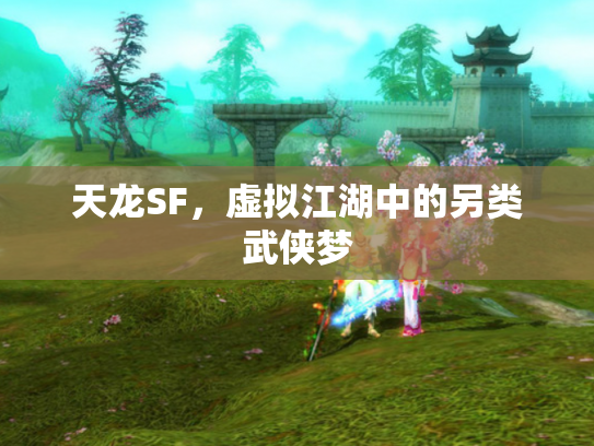 天龙SF，虚拟江湖中的另类武侠梦