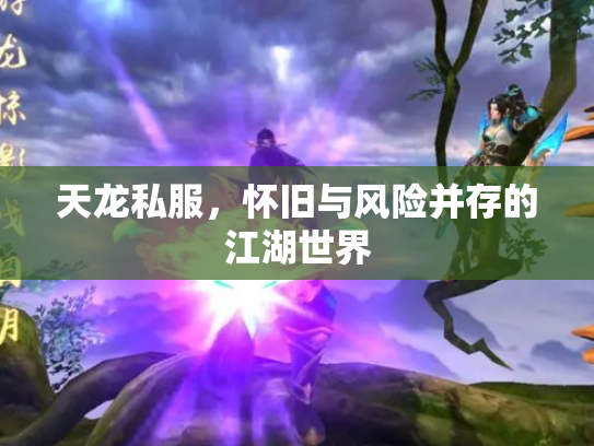 天龙私服，怀旧与风险并存的江湖世界