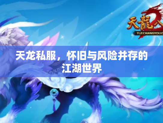 天龙私服，怀旧与风险并存的江湖世界