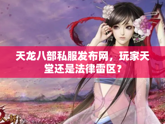 天龙八部私服发布网，玩家天堂还是法律雷区？