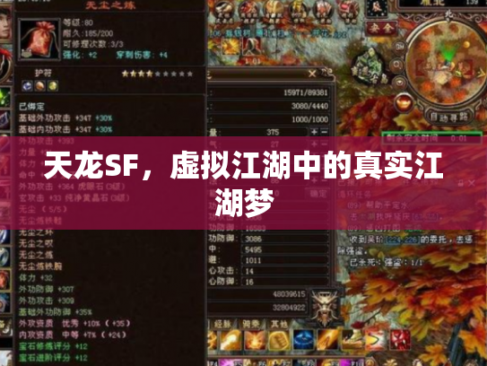 天龙SF，虚拟江湖中的真实江湖梦