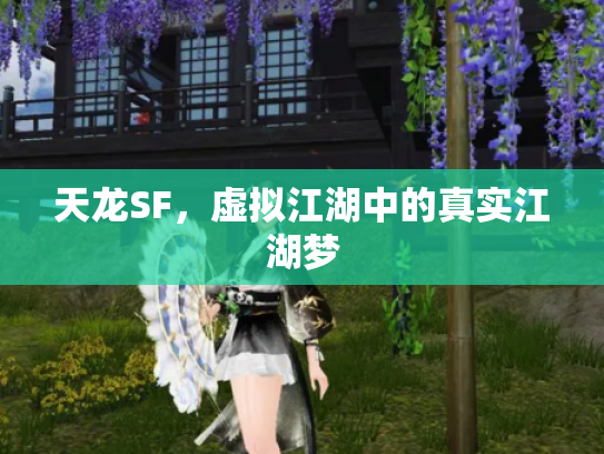 天龙SF，虚拟江湖中的真实江湖梦