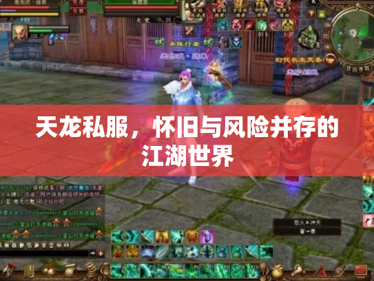 天龙私服，怀旧与风险并存的江湖世界