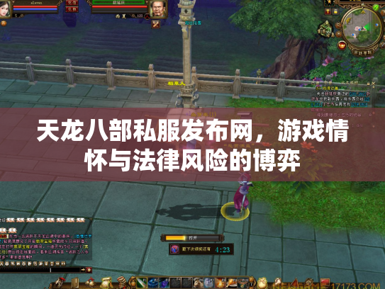 天龙八部私服发布网，游戏情怀与法律风险的博弈