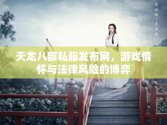 天龙八部私服发布网，游戏情怀与法律风险的博弈