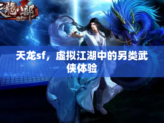 天龙sf，虚拟江湖中的另类武侠体验