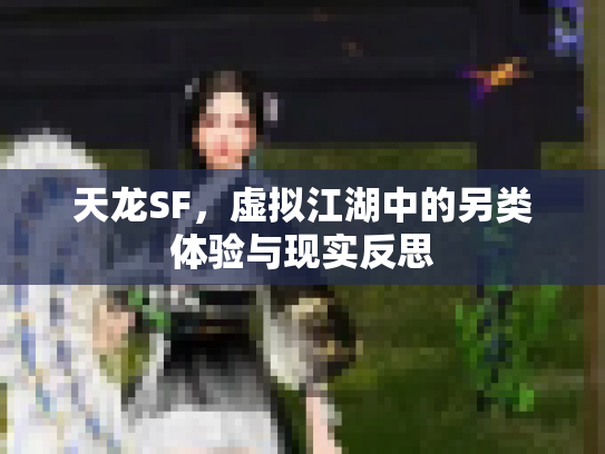 天龙SF，虚拟江湖中的另类体验与现实反思