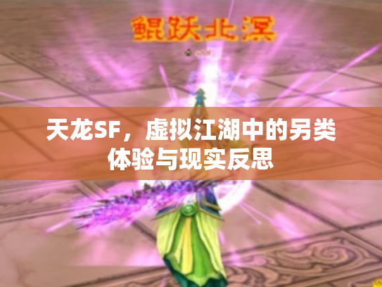 天龙SF，虚拟江湖中的另类体验与现实反思