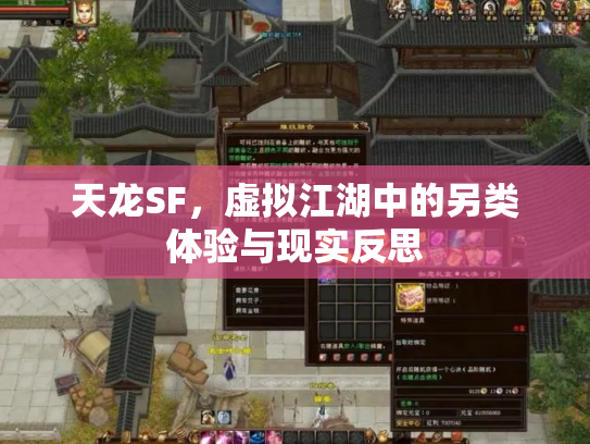 天龙SF，虚拟江湖中的另类体验与现实反思