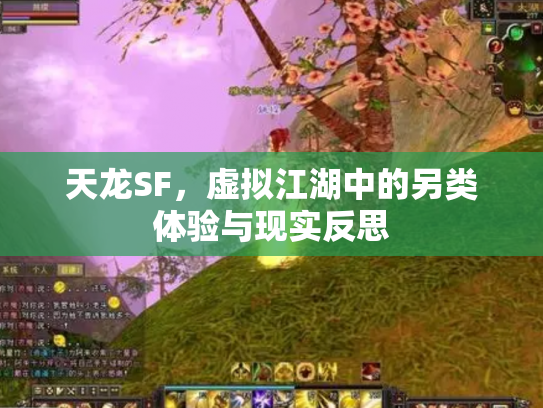 天龙SF，虚拟江湖中的另类体验与现实反思