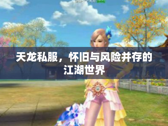 天龙私服，怀旧与风险并存的江湖世界