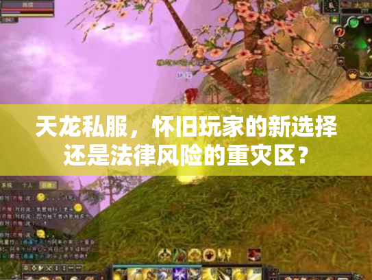 天龙私服，怀旧玩家的新选择还是法律风险的重灾区？
