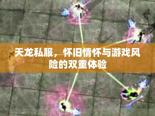 天龙私服，怀旧情怀与游戏风险的双重体验