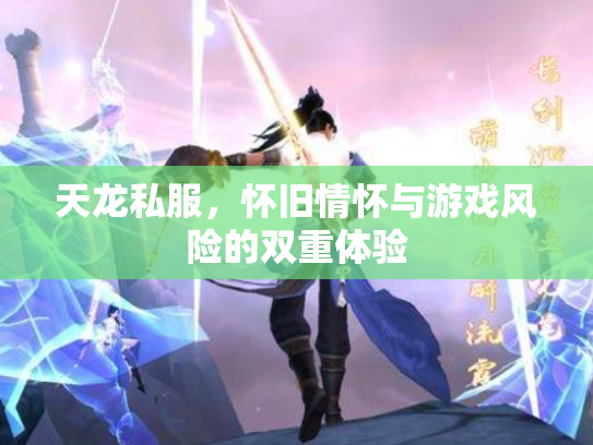 天龙私服，怀旧情怀与游戏风险的双重体验