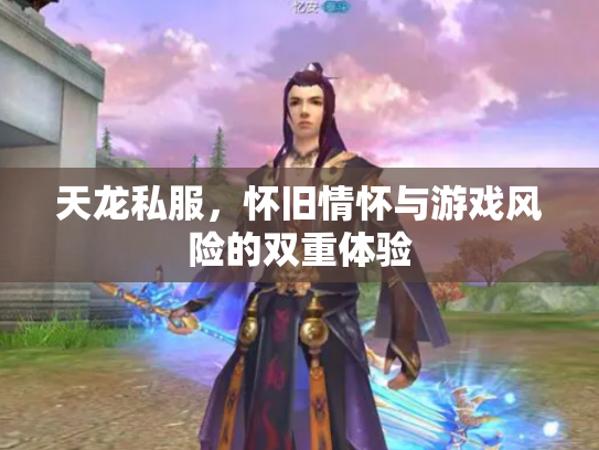 天龙私服，怀旧情怀与游戏风险的双重体验