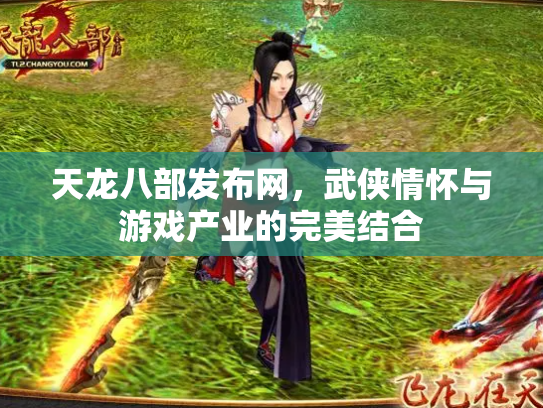 天龙八部发布网，武侠情怀与游戏产业的完美结合