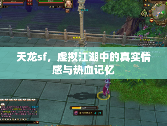 天龙sf，虚拟江湖中的真实情感与热血记忆