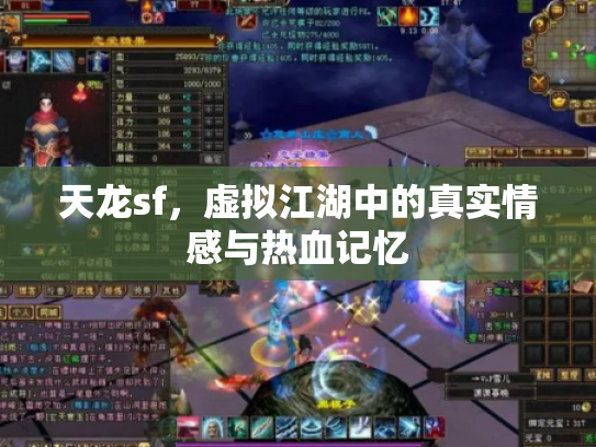 天龙sf，虚拟江湖中的真实情感与热血记忆