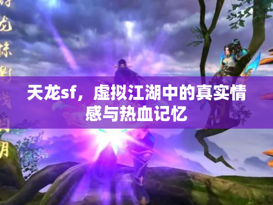 天龙sf，虚拟江湖中的真实情感与热血记忆
