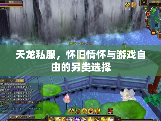 天龙私服，怀旧情怀与游戏自由的另类选择