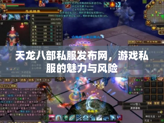 天龙八部私服发布网，游戏私服的魅力与风险