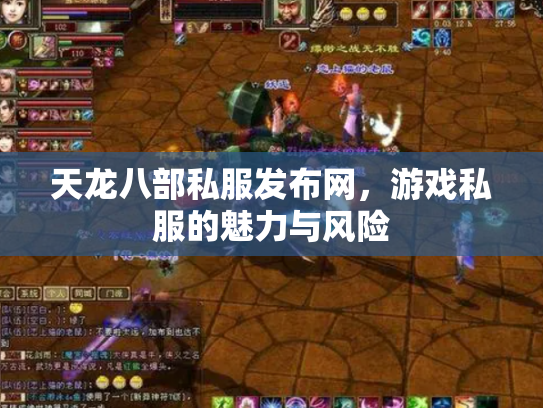 天龙八部私服发布网，游戏私服的魅力与风险