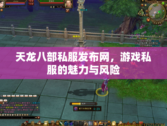 天龙八部私服发布网，游戏私服的魅力与风险