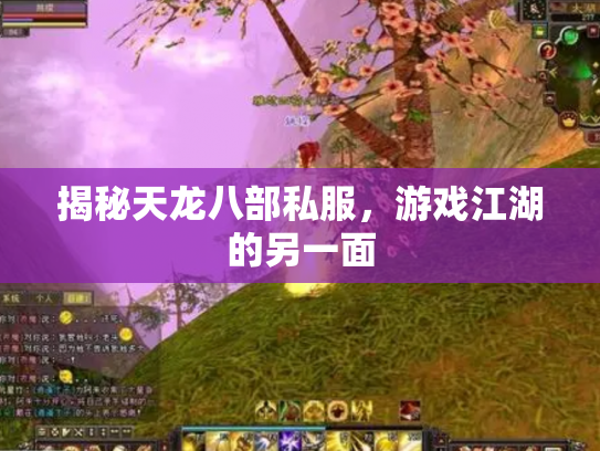 揭秘天龙八部私服，游戏江湖的另一面