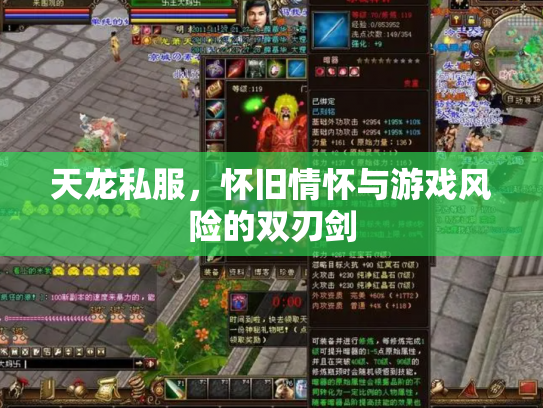 天龙私服，怀旧情怀与游戏风险的双刃剑