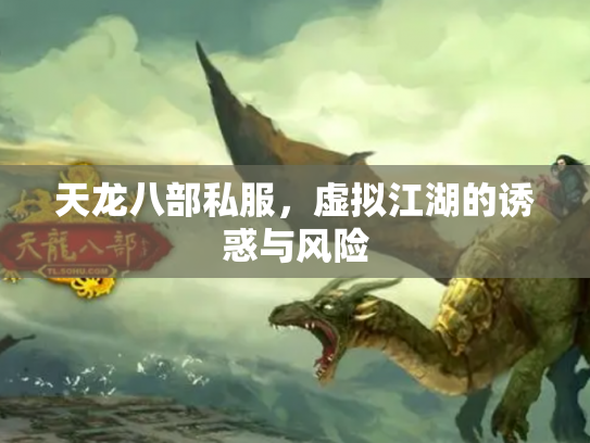 天龙八部私服，虚拟江湖的诱惑与风险