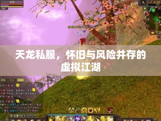 天龙私服，怀旧与风险并存的虚拟江湖