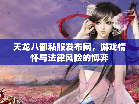 天龙八部私服发布网，游戏情怀与法律风险的博弈