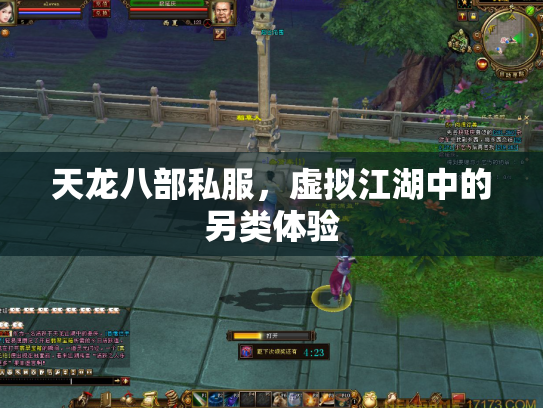 天龙八部私服，虚拟江湖中的另类体验