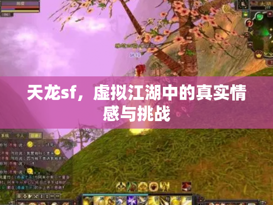 天龙sf，虚拟江湖中的真实情感与挑战