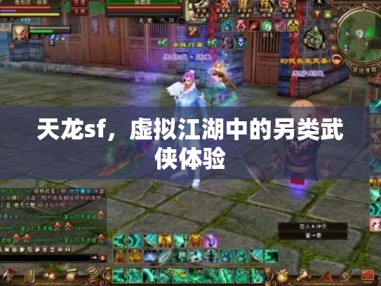 天龙sf，虚拟江湖中的另类武侠体验
