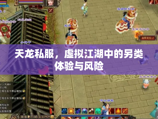 天龙私服，虚拟江湖中的另类体验与风险