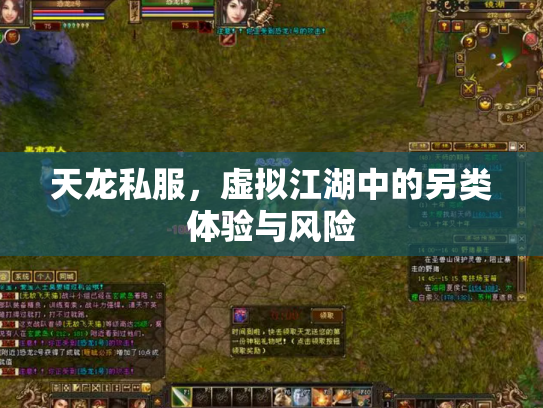 天龙私服，虚拟江湖中的另类体验与风险