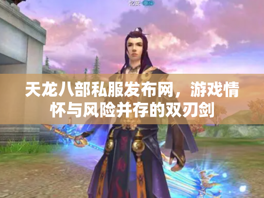 天龙八部私服发布网，游戏情怀与风险并存的双刃剑