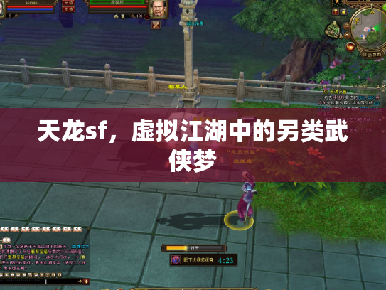 天龙sf，虚拟江湖中的另类武侠梦