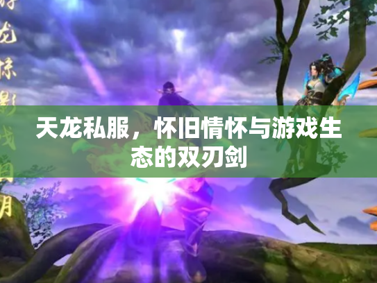 天龙私服，怀旧情怀与游戏生态的双刃剑