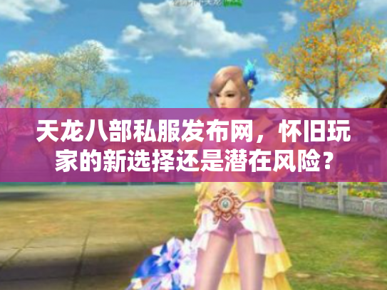 天龙八部私服发布网，怀旧玩家的新选择还是潜在风险？