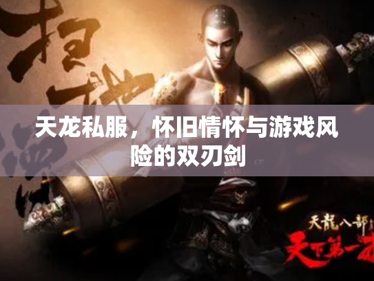 天龙私服，怀旧情怀与游戏风险的双刃剑