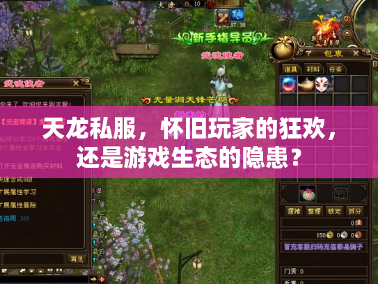 天龙私服，怀旧玩家的狂欢，还是游戏生态的隐患？