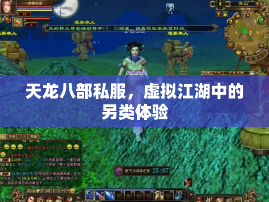 天龙八部私服，虚拟江湖中的另类体验