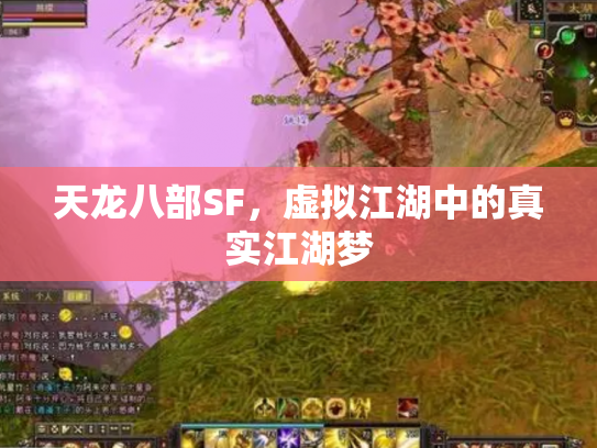 天龙八部SF，虚拟江湖中的真实江湖梦