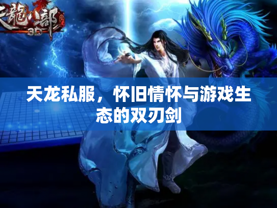 天龙私服，怀旧情怀与游戏生态的双刃剑