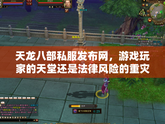 天龙八部私服发布网，游戏玩家的天堂还是法律风险的重灾区？