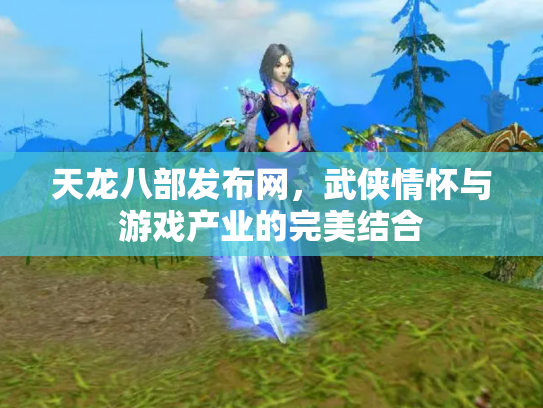 天龙八部发布网，武侠情怀与游戏产业的完美结合