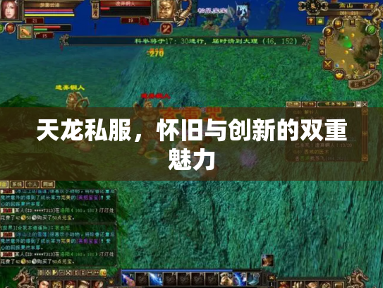 天龙私服，怀旧与创新的双重魅力